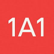 1A1 LLC